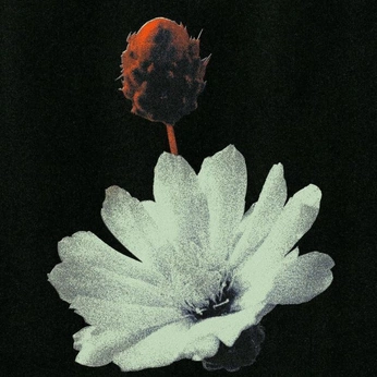 A cover of "beautiful" cluster. The owner is aetenae. The cluster consists of 10 elements.