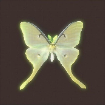 A cover of "butterfly" cluster. The owner is dano.inspo. The cluster consists of 18 elements.