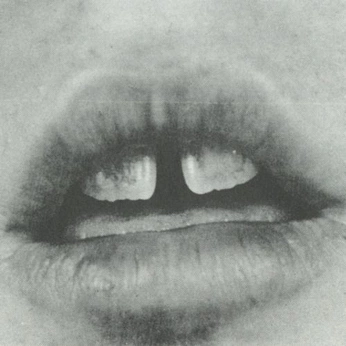 A cover of "La figure" cluster. The owner is veroberro. The cluster consists of 35 elements.