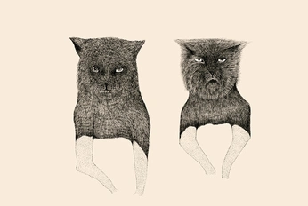 A cover of "Animals" cluster. The owner is jmemare. The cluster consists of 12 elements.