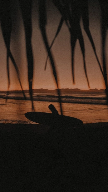 A cover of "film" cluster. The owner is ofthemoment. The cluster consists of 1 element.