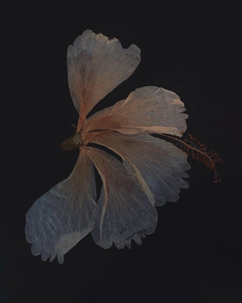 A cover of "414" cluster. The owner is prokerstinator. The cluster consists of 1 element.