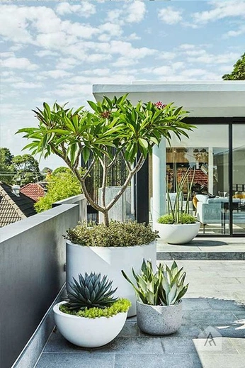 A cover of "l a n d s c a p e" cluster. The owner is payaldasani. The cluster consists of 8 elements.