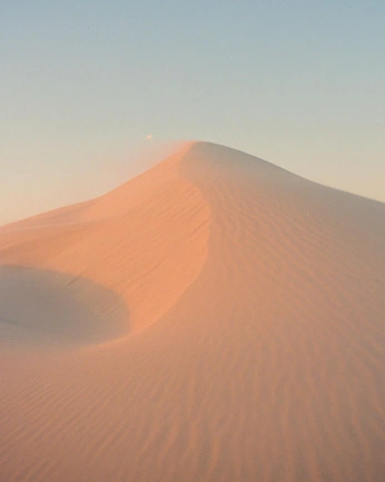 A cover of "Warm" cluster. The owner is solreiser. The cluster consists of 8 elements.