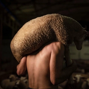 A cover of "COUNT THE WAYS" cluster. The owner is jbkrauss. The cluster consists of 28 elements.