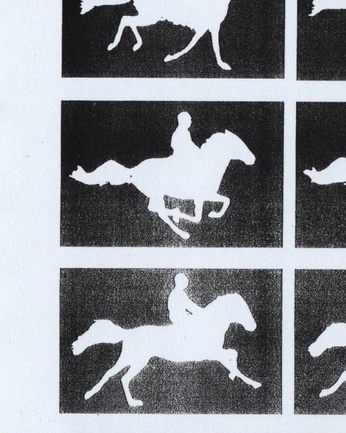 A cover of "animals" cluster. The owner is bybpower. The cluster consists of 8 elements.