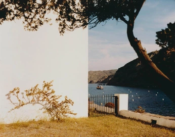 A cover of "film" cluster. The owner is aidaaasc. The cluster consists of 12 elements.