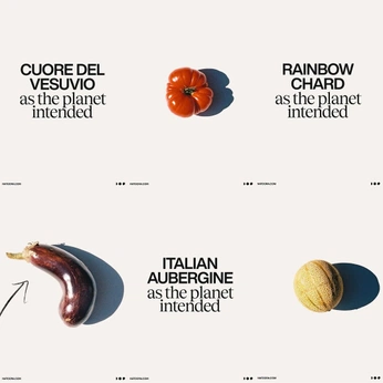 A cover of "Interior Design 4B" cluster. The owner is miralena. The cluster consists of 25 elements.