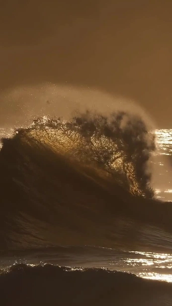 A cover of "COMING SOON" cluster. The owner is roxi1999. The cluster consists of 56 elements.