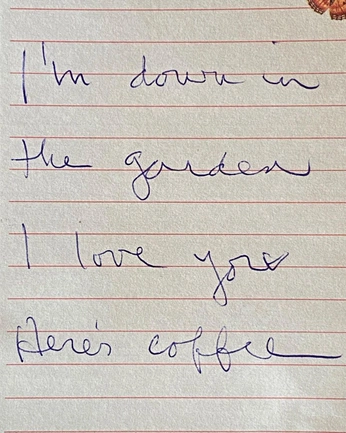 A cover of "All sorts of things" cluster. The owner is brotherbobbronso. The cluster consists of 3 elements.