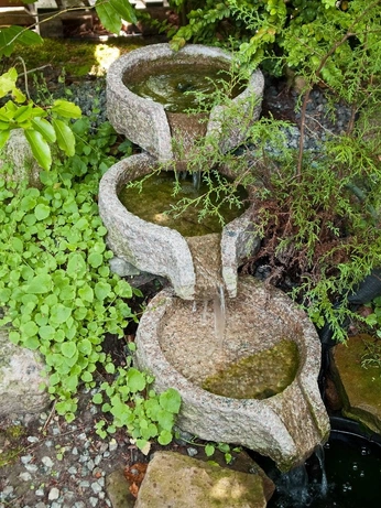 A cover of "Water feature" cluster. The owner is lovegeum. The cluster consists of 12 elements.