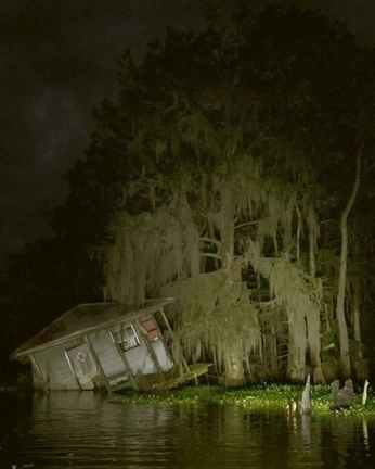 A cover of "the bayou" cluster. The owner is jazlovesjerry. The cluster consists of 10 elements.