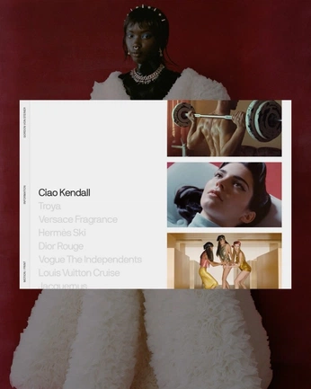 A cover of "Web" cluster. The owner is chaques. The cluster consists of 45 elements.