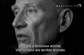 A cover of "Words" cluster. The owner is irvingdiptera. The cluster consists of 31 elements.