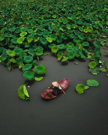 A cover of "Sen" cluster. The owner is bby.pororo. The cluster consists of 10 elements.