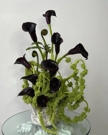 A cover of "Atelier Botánico" cluster. The owner is alejandraolvera. The cluster consists of 19 elements.