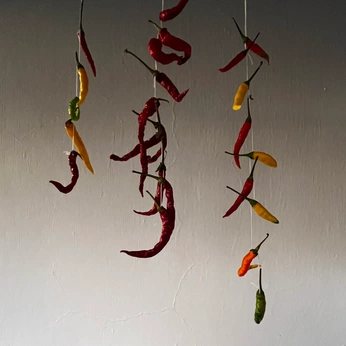 A cover of "FYRED" cluster. The owner is borbala. The cluster consists of 14 elements.