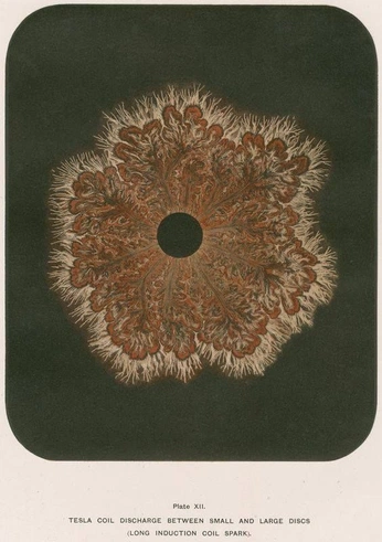 A cover of "thingswelove" cluster. The owner is velimar. The cluster consists of 13 elements.