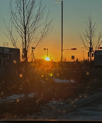 A cover of "Glimpse" cluster. The owner is sarashi. The cluster consists of 7 elements.