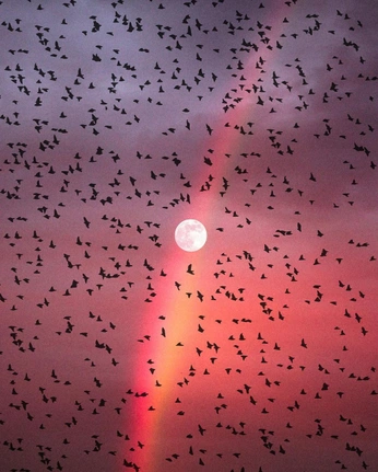 A cover of "Moon" cluster. The owner is ilovesaidey. The cluster consists of 8 elements.