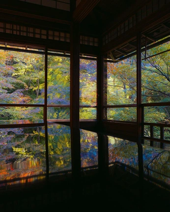 A cover of "Heian" cluster. The owner is wokashi. The cluster consists of 5 elements.