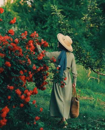 A cover of "Home" cluster. The owner is palomagolf. The cluster consists of 7 elements.