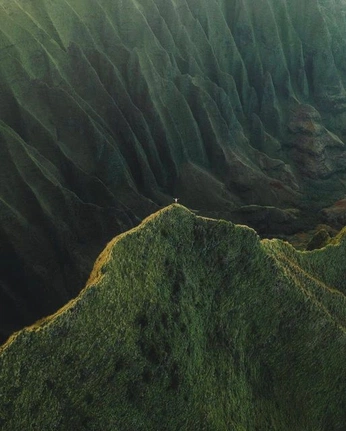 A cover of "Green" cluster. The owner is joyboy56. The cluster consists of 51 elements.