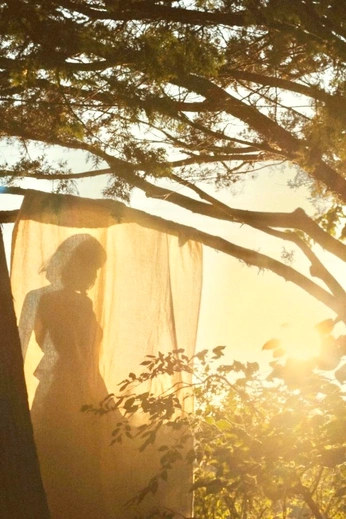 A cover of "Emma" cluster. The owner is carlosrodriguez. The cluster consists of 57 elements.