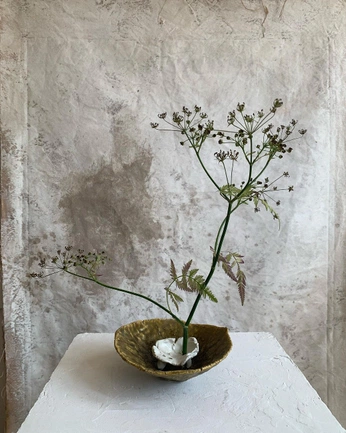 A cover of "Ikebana" cluster. The owner is 0h7e5. The cluster consists of 2 elements.