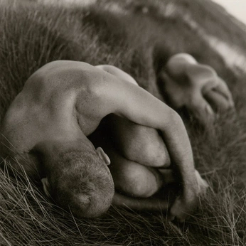 A cover of "Nudes in forest" cluster. The owner is dandisotto. The cluster consists of 66 elements.