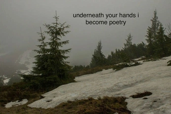 A cover of "poems" cluster. The owner is pinkpeachy. The cluster consists of 8 elements.