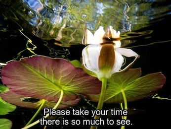 A cover of "ptalk" cluster. The owner is dahyo4evr. The cluster consists of 31 elements.