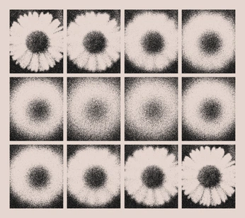 A cover of "Life is beautiful ✨" cluster. The owner is aly. The cluster consists of 16 elements.