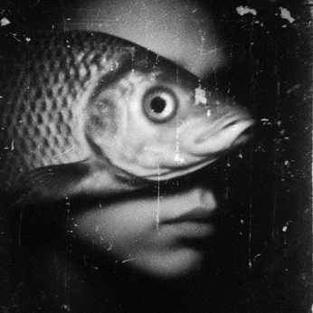 A cover of "drawing" cluster. The owner is gaba6. The cluster consists of 10 elements.