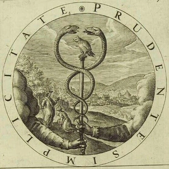 A cover of "手绘" cluster. The owner is ki1998. The cluster consists of 2 elements.