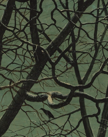 A cover of "Nature" cluster. The owner is stusmith. The cluster consists of 1 element.