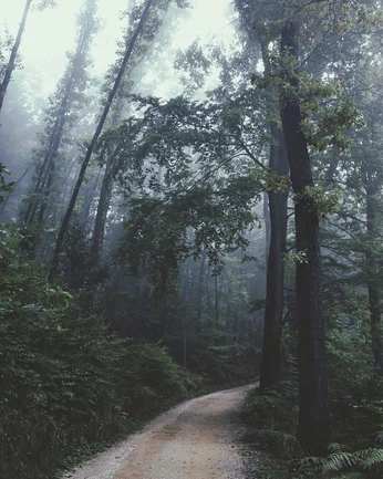 A cover of "Nature" cluster. The owner is karlschopf. The cluster description is "Nature master collection". The cluster consists of 174 elements.