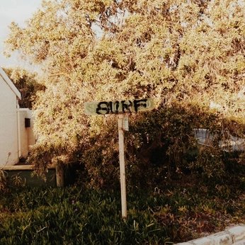 A cover of "Snap" cluster. The owner is shaun. The cluster description is "Some times I take photos ". The cluster consists of 26 elements.