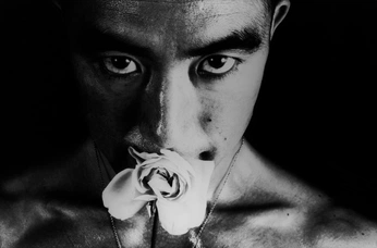 A cover of "in the web it lies" cluster. The owner is koikais. The cluster consists of 20 elements.