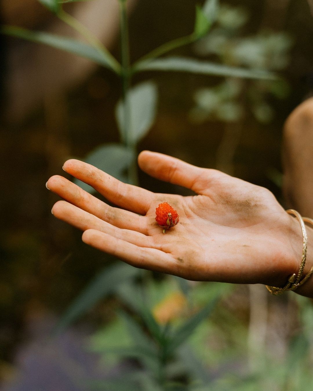 A raspberry held in hand. Photo by Kam Vachon for BESIDE Magazine.