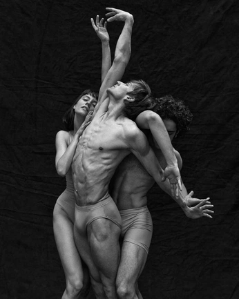 A cover of "figure reference" cluster. The owner is enchantixfairie. The cluster consists of 4 elements.