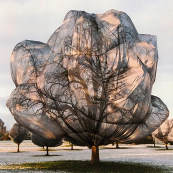 A cover of "SymPoiesis" cluster. The owner is whoislvca. The cluster consists of 12 elements.