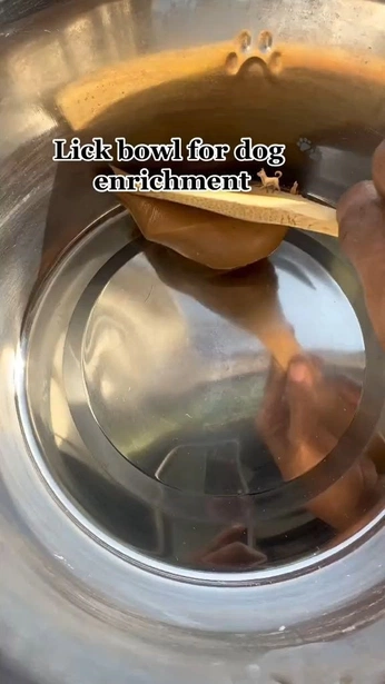 A cover of "Animals" cluster. The owner is zeepeezeze. The cluster consists of 62 elements.