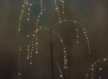 A cover of "Circlu" cluster. The owner is circlu. The cluster consists of 132 elements.