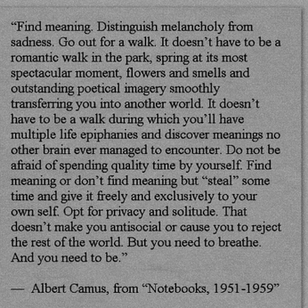 A cover of "Paragraphes" cluster. The owner is moony.miaow. The cluster consists of 3 elements.