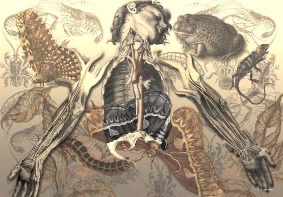 An image added by iamafiend on Aug 23, 2024. May present: illustration.