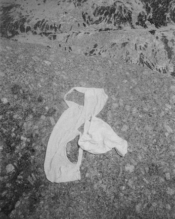 A cover of "to steal" cluster. The owner is lifesnudes. The cluster consists of 45 elements.