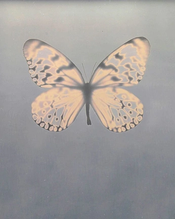 A cover of "Uranus in Gemini" cluster. The owner is jordanemw. The cluster consists of 61 elements.