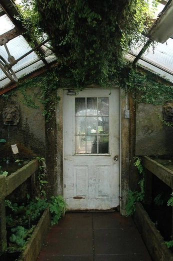 A cover of "CAFE POSTE COUR IMMEUBLE" cluster. The owner is pinkwhale. The cluster consists of 4 elements.