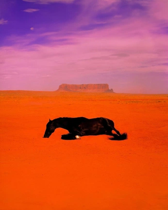 A cover of "COLOR" cluster. The owner is rovbie. The cluster consists of 1 element.